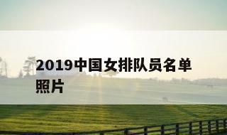 包含2019中国女排队员名单照片的词条