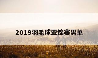 2019羽毛球亚锦赛男单 2019羽毛球亚锦赛男单冠军
